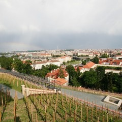 Saint Wenceslas Vineyard: The most spectacular view of Prague and the Vltava valley
