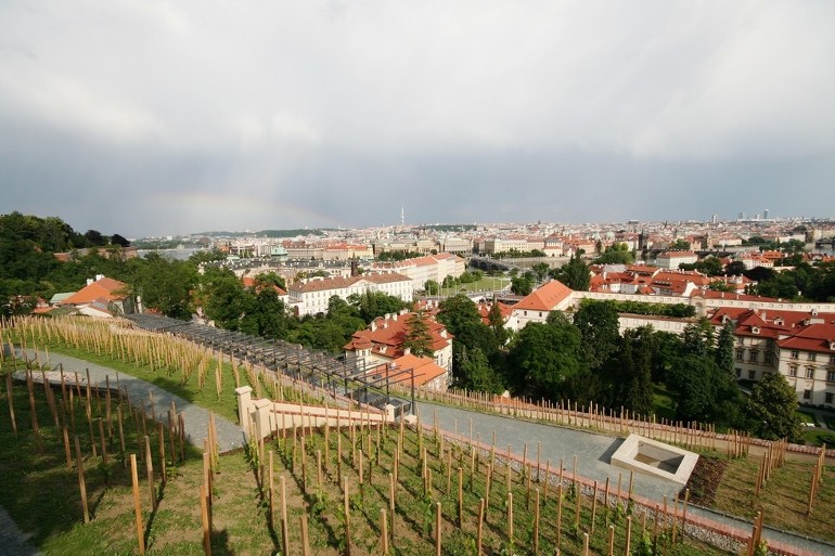 St. Wenceslas vineyard and Villa Richter